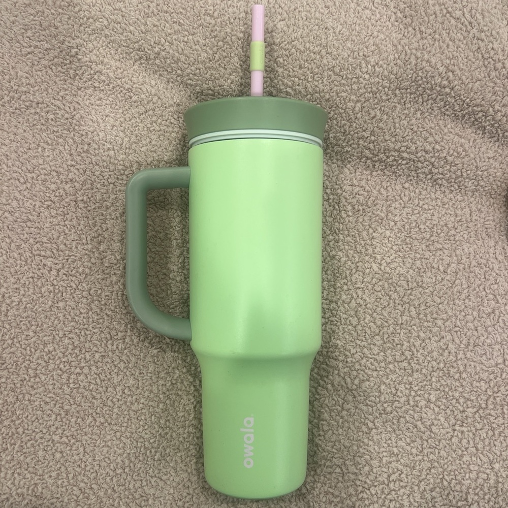 Owala Mint Green Tumbler with Straw